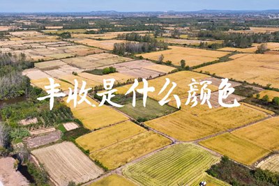 春種一粒粟，秋收萬(wàn)顆子。多彩的豐收季，只愿五谷豐登，百事興旺3.240_400.jpg